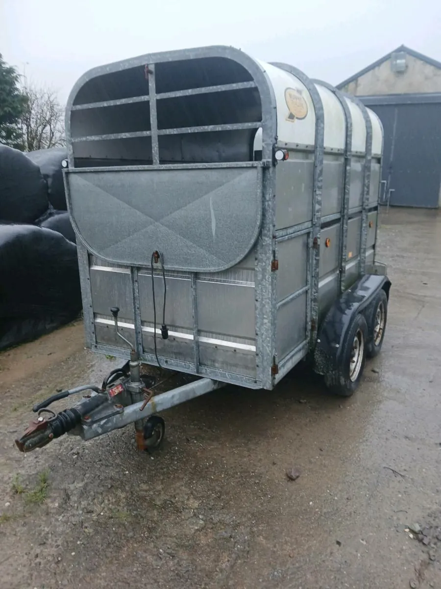 Murphy livestock trailer - Image 4