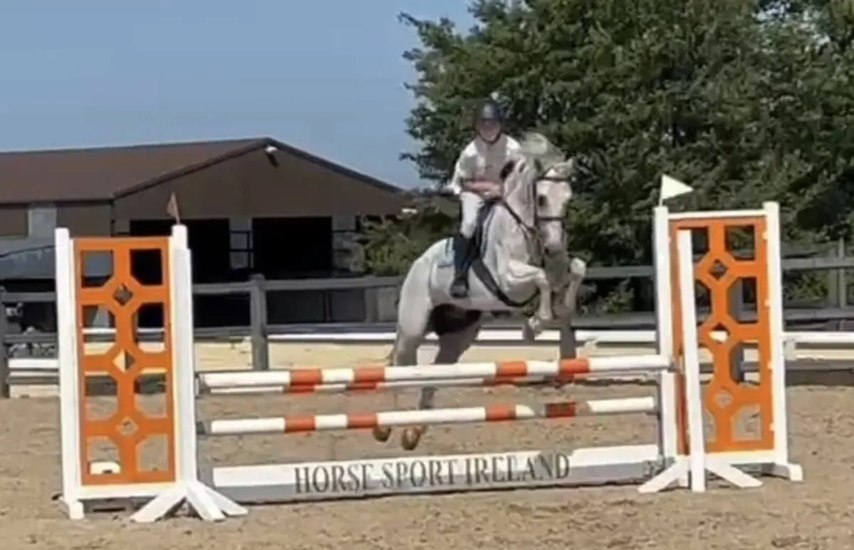 148 jumping pony - Image 3