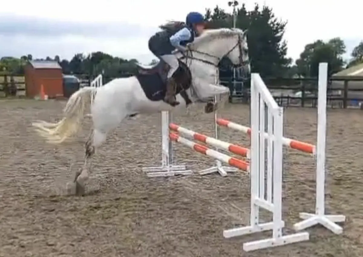 148 jumping pony - Image 1
