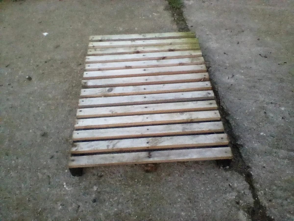 Calf  equipement - Image 3