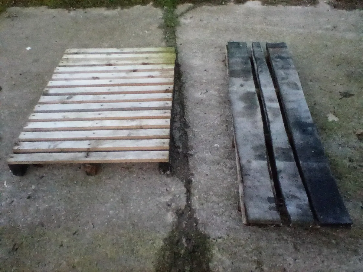 Calf  equipement - Image 4