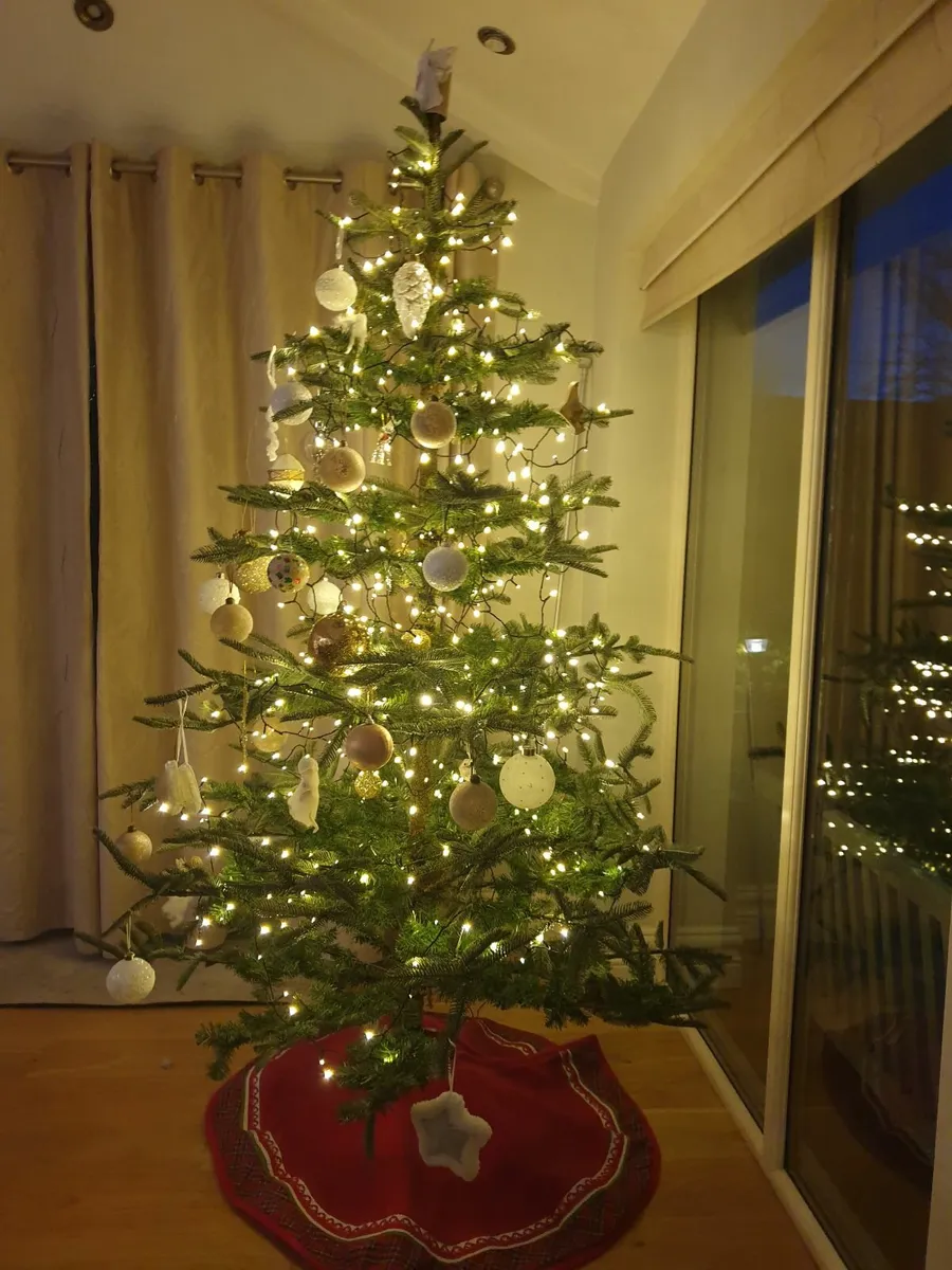 Christmas tree - Image 2