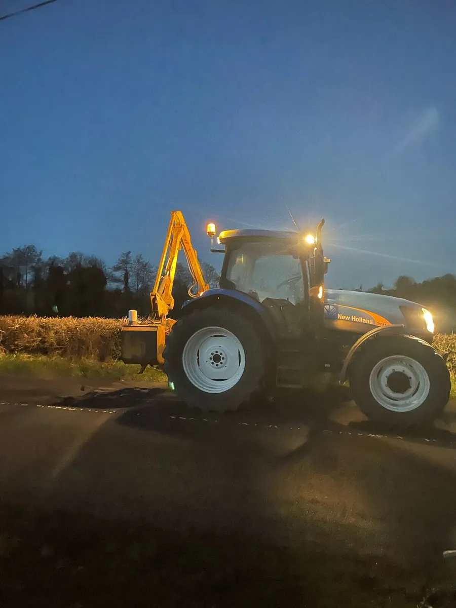 Hedge cutting available - Image 1