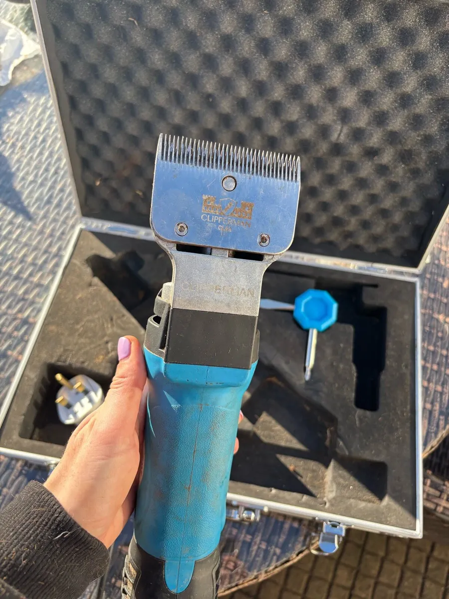 Liveryman fortress clipper - Image 2