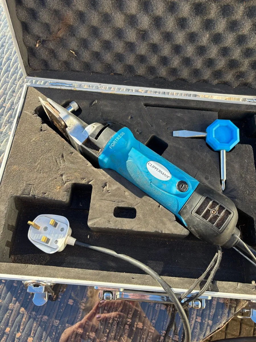 Liveryman fortress clipper - Image 3