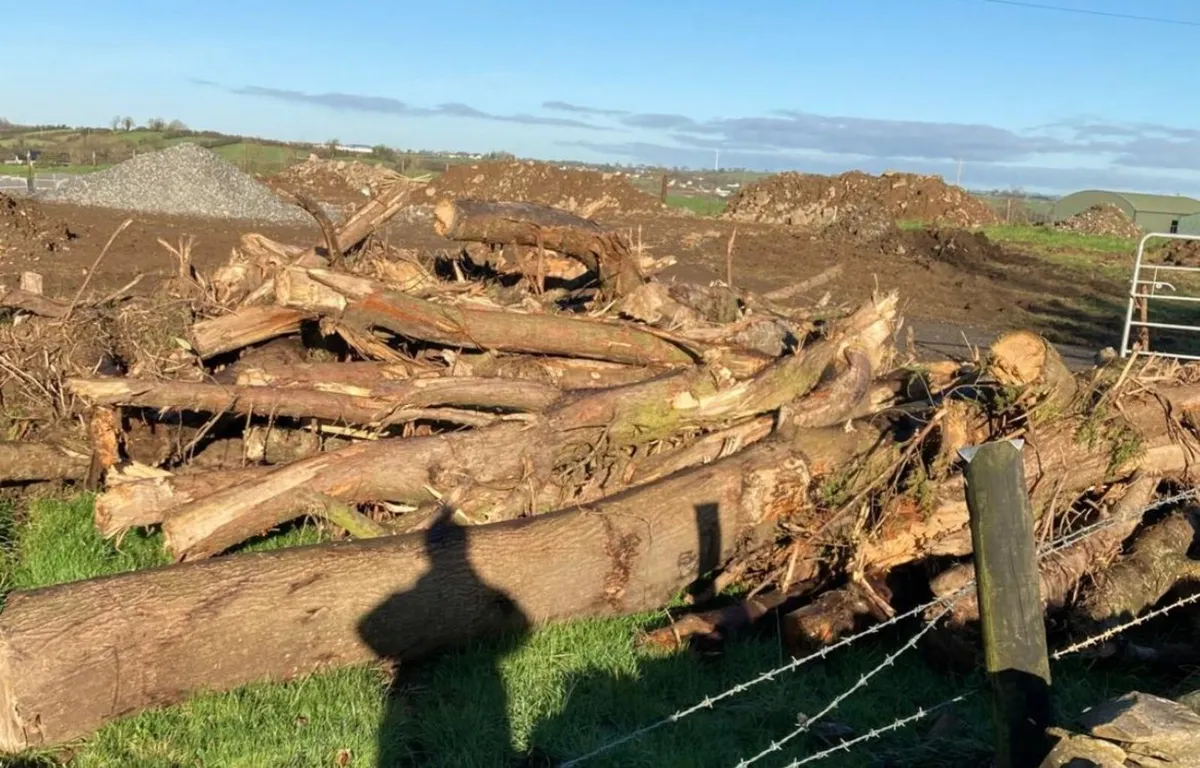 FREE Firewood Logs - Image 1