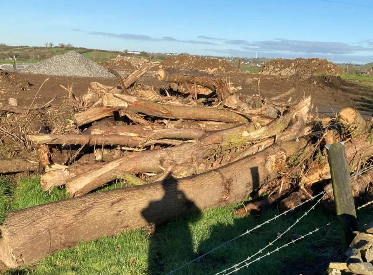 FREE Firewood Logs - Image 2