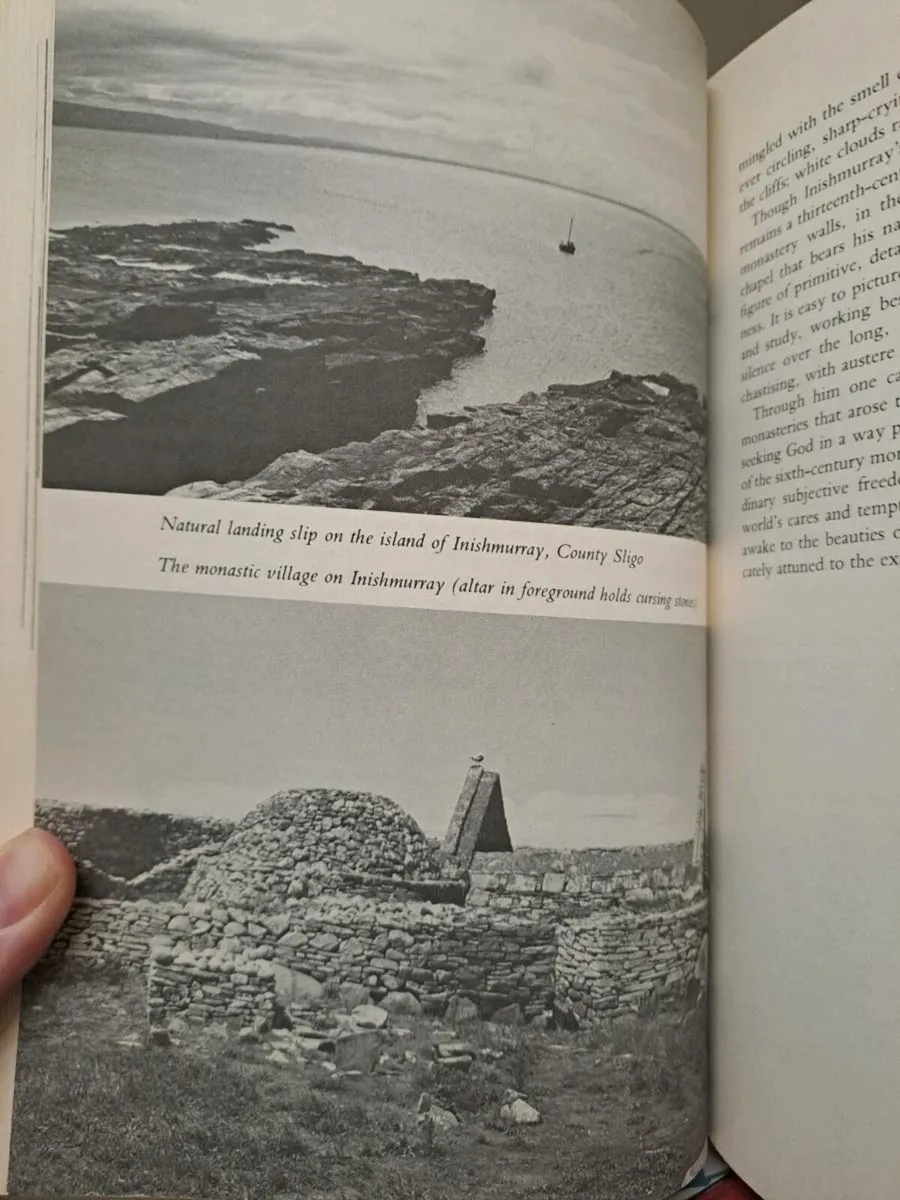 The Flowering of Ireland 1st edition - Image 4