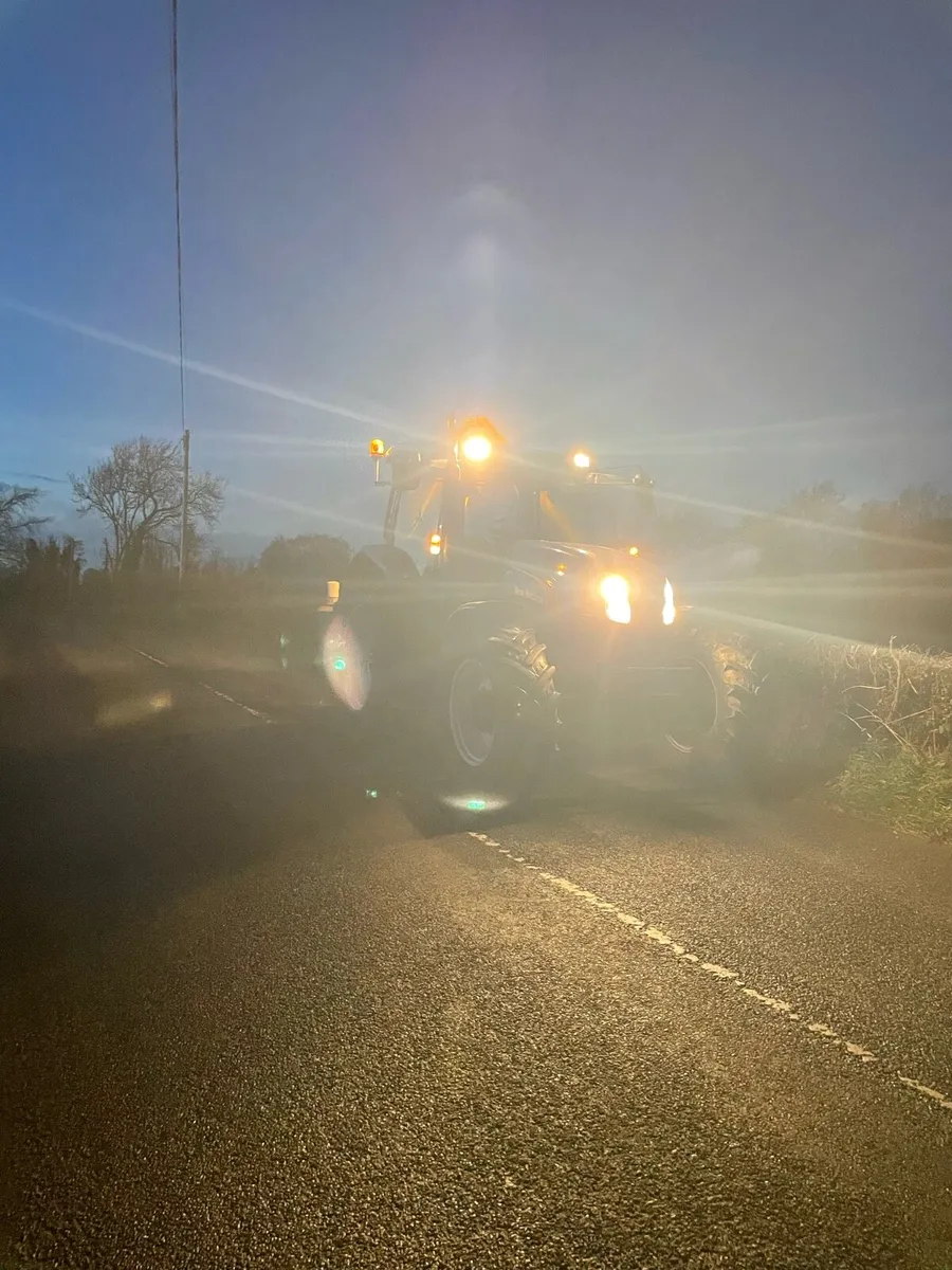 Hedge cutting available - Image 3