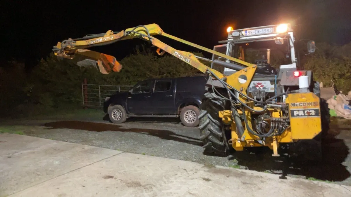 Hedge cutting available - Image 4