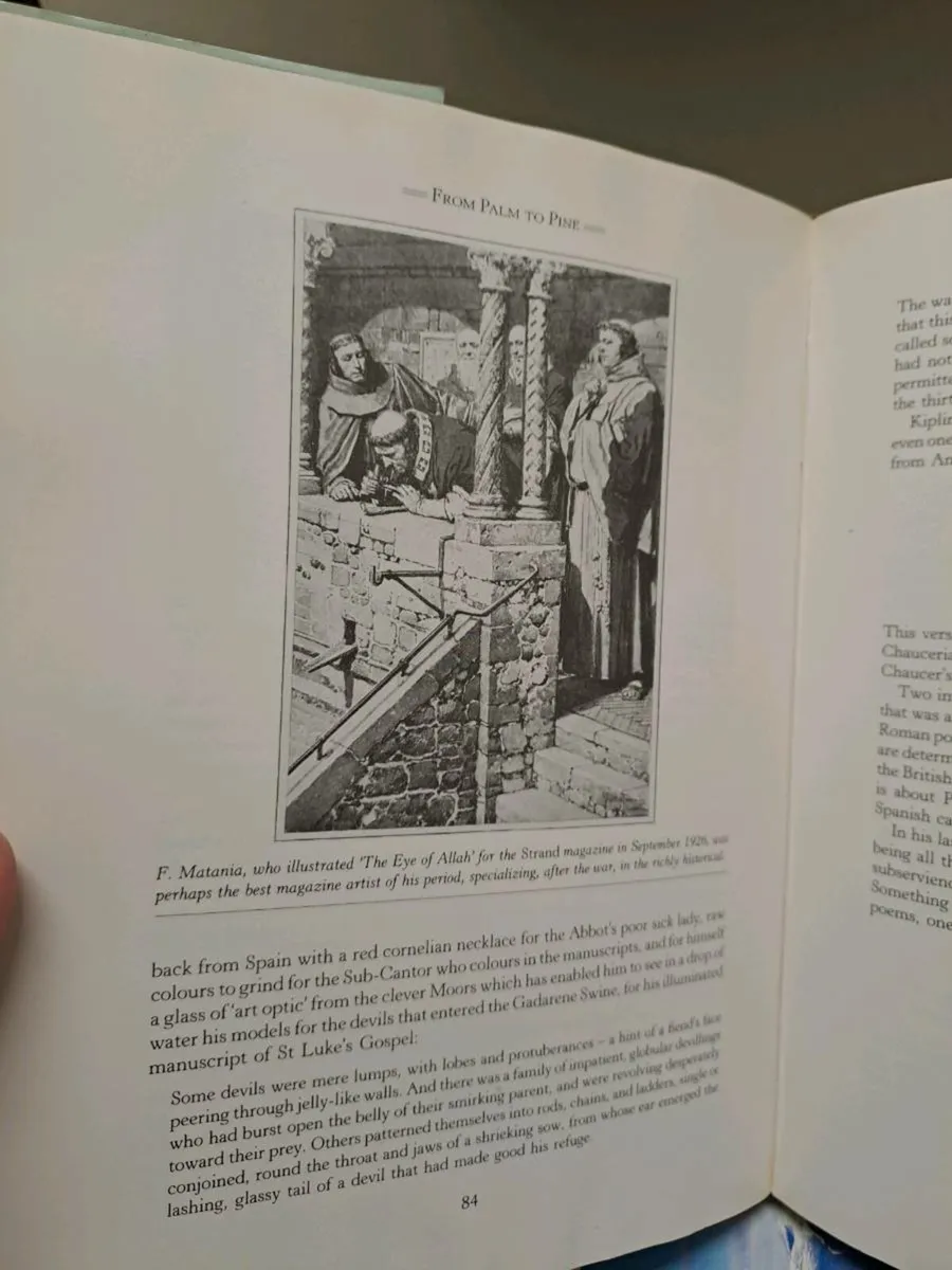 From Palm to Pine - Image 3