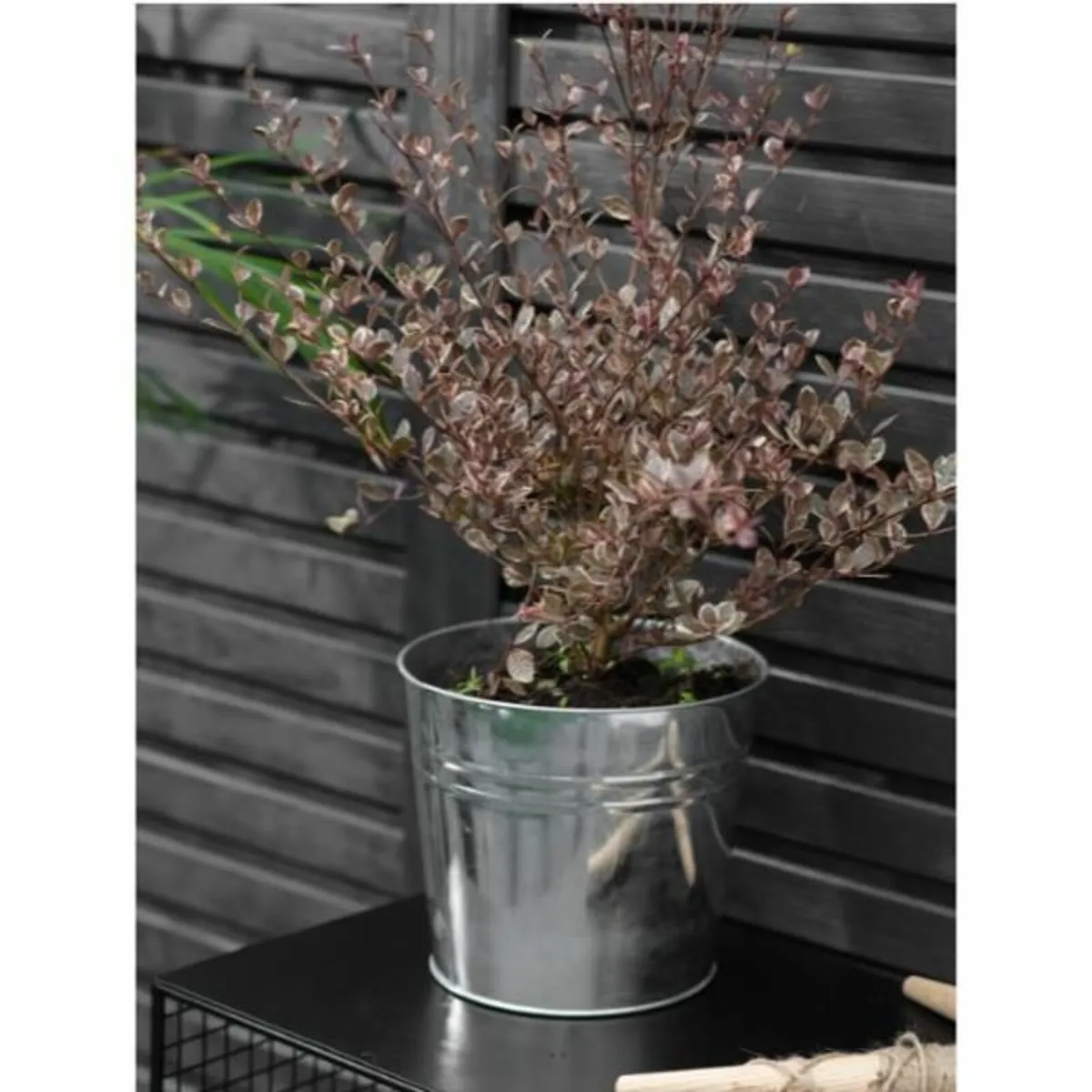 Winson Plant Pot 20.5cm Galvanised Steel – GT34 - Image 1