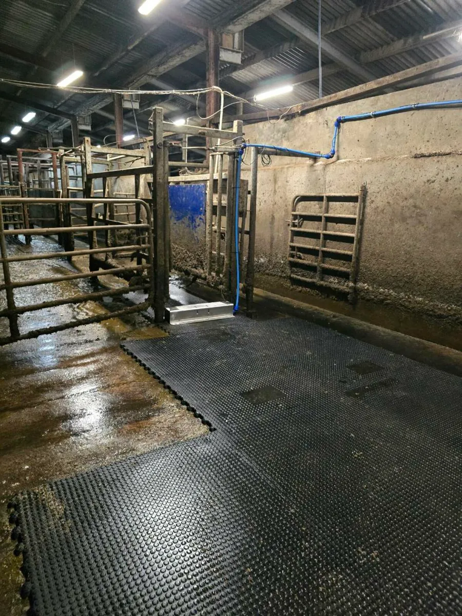 Auto-Spray Automatic Hoof Care That Works - Image 2