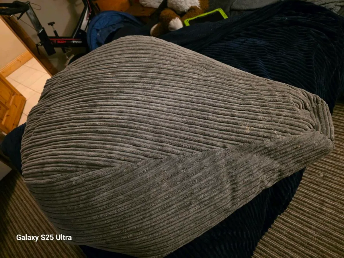 Large bean bag (lounge pug) - Image 1