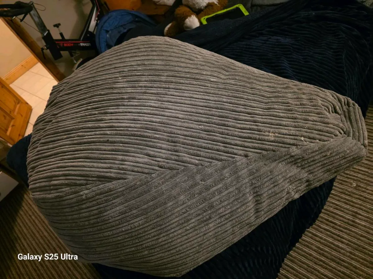 Large bean bag (lounge pug) - Image 2