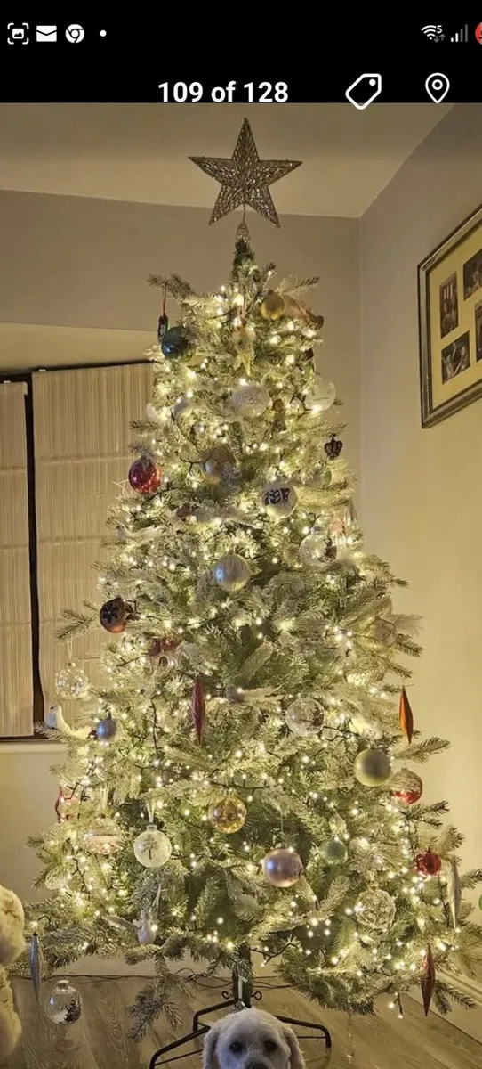 Christmass tree