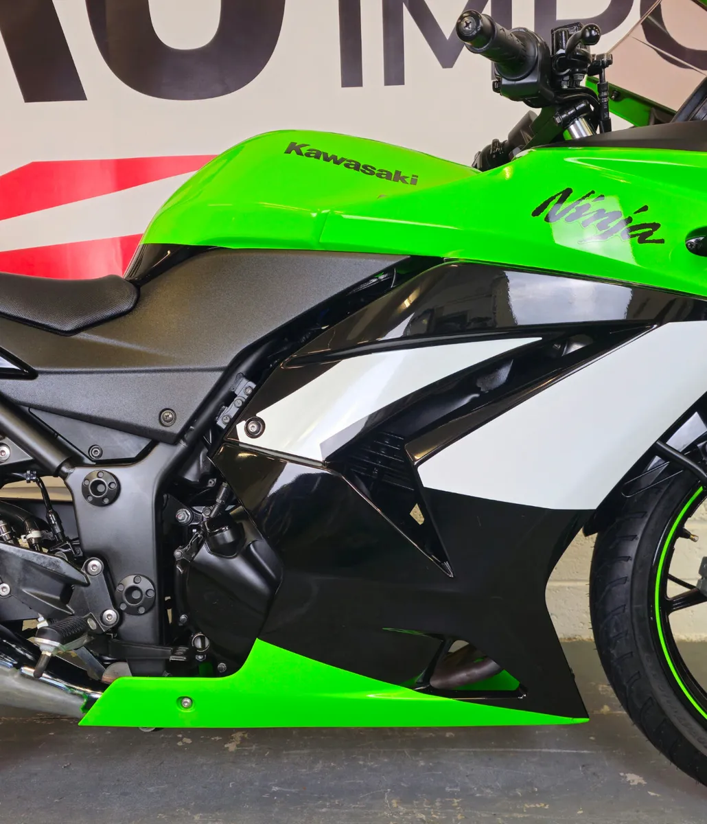 2010 Kawasaki Ninja 250R - Image 2