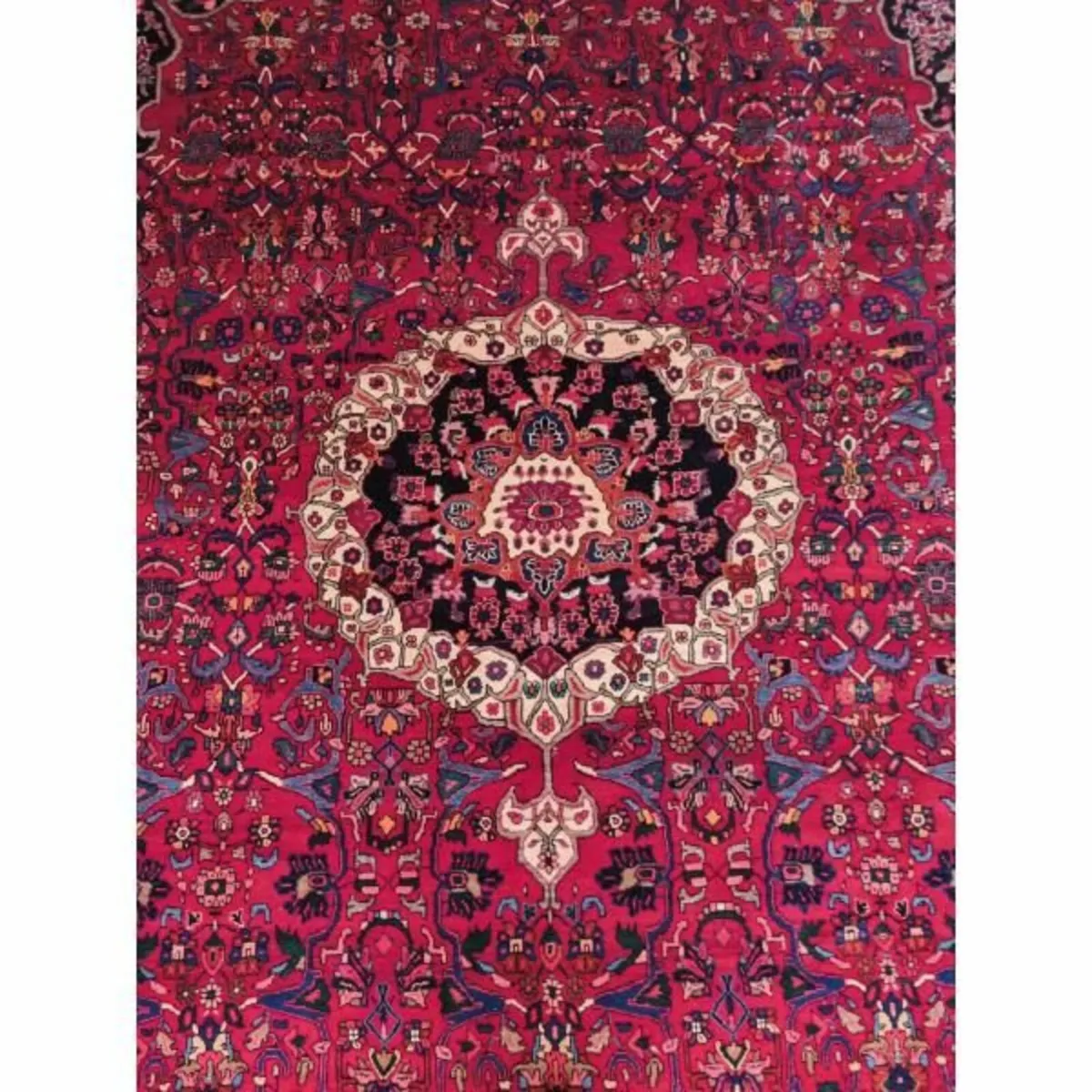 Koltoq Rug KASRUG41 - Image 4