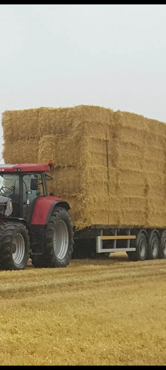2025 Spring Barley Straw