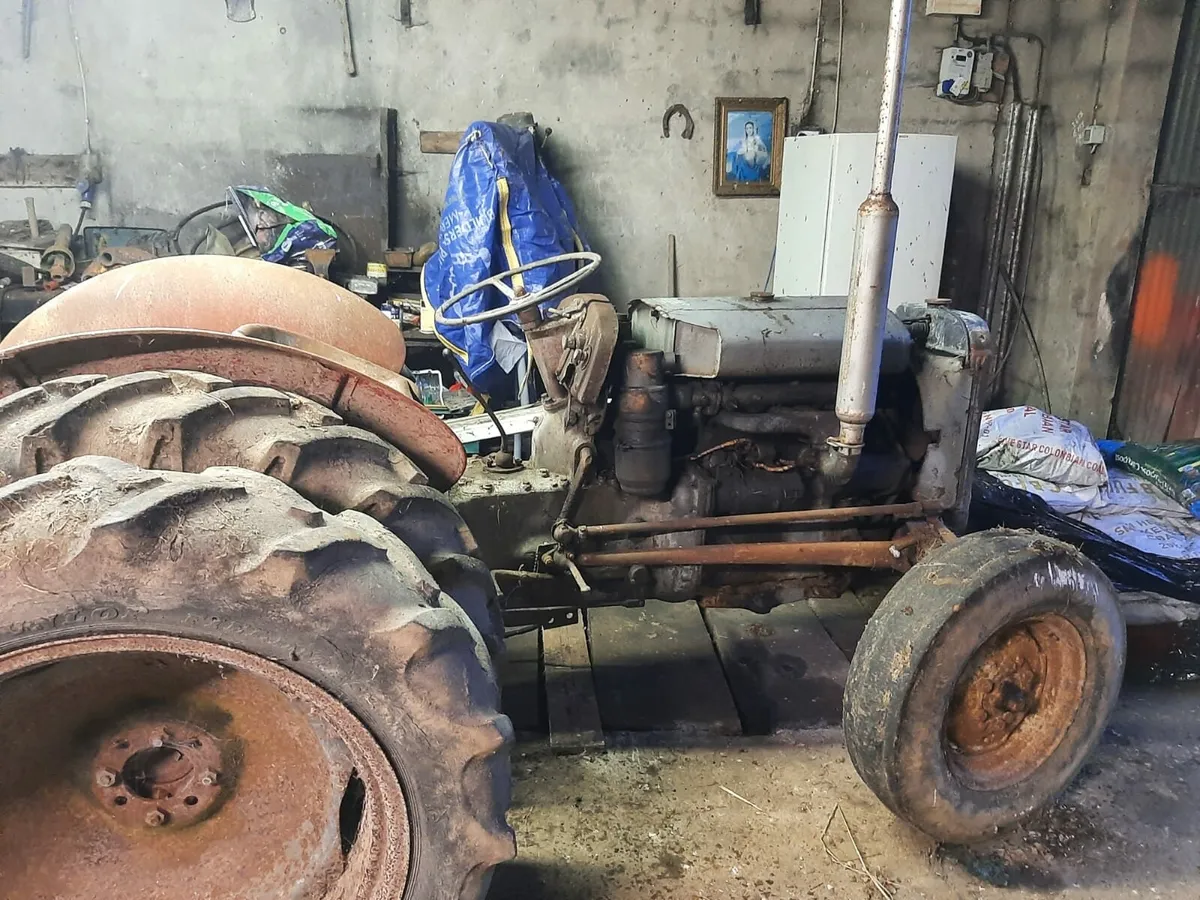 Ferguson 20 - Image 2