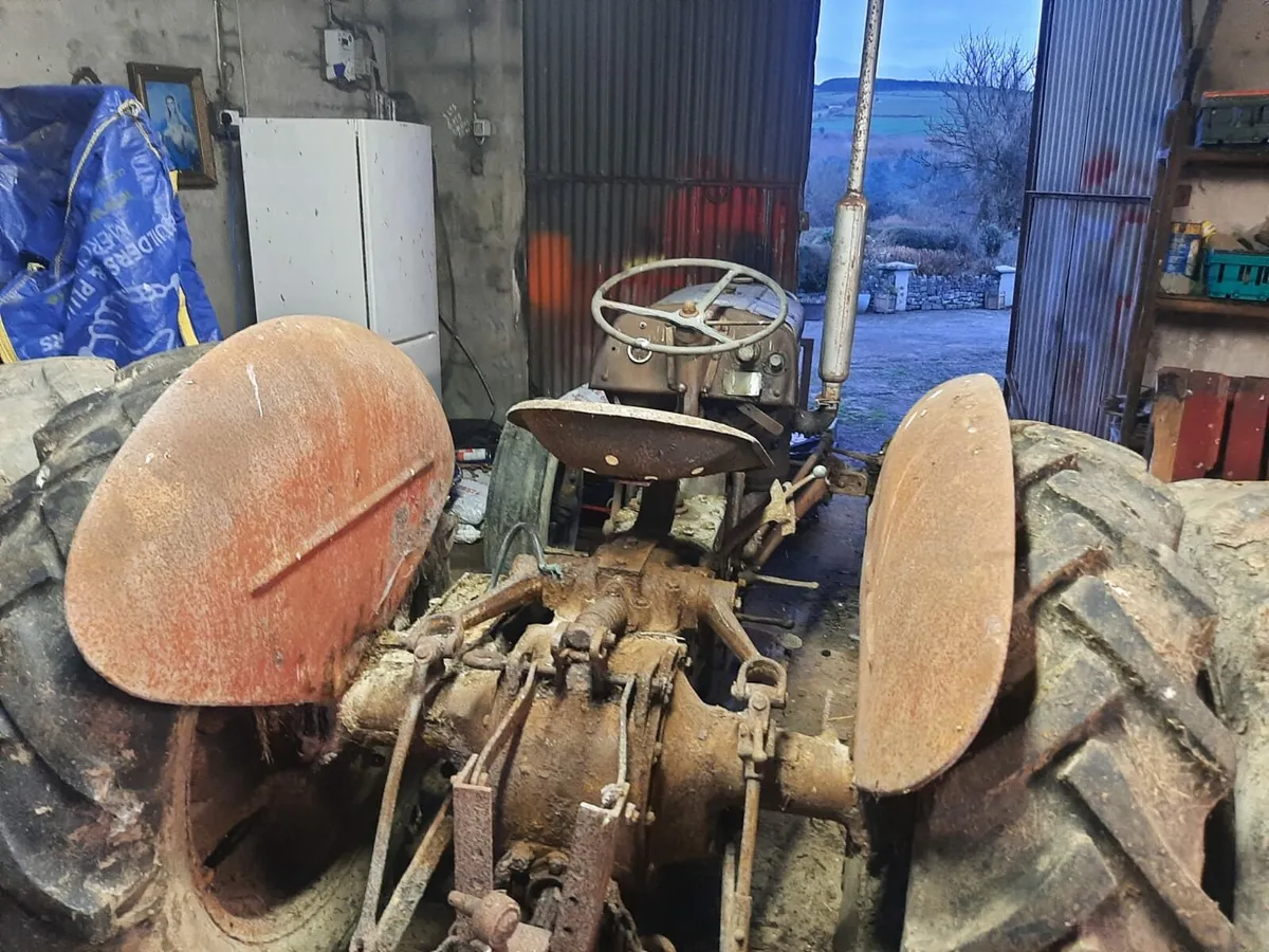 Ferguson 20 - Image 3