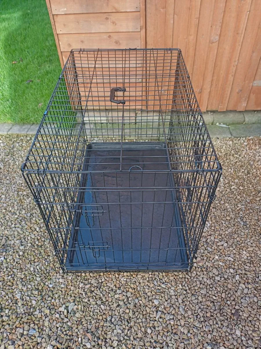 Large dog travel crate. - Image 1