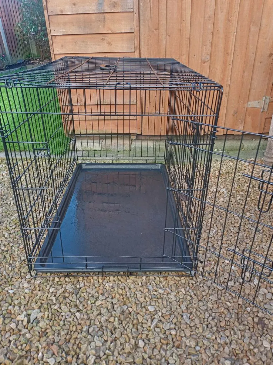 Large dog travel crate. - Image 3