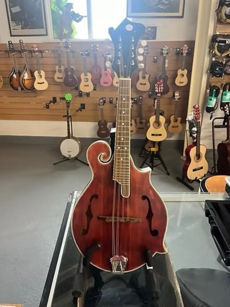 MANDOLINS FOR SALE @ THE MUSIC STORE CORK - Image 2