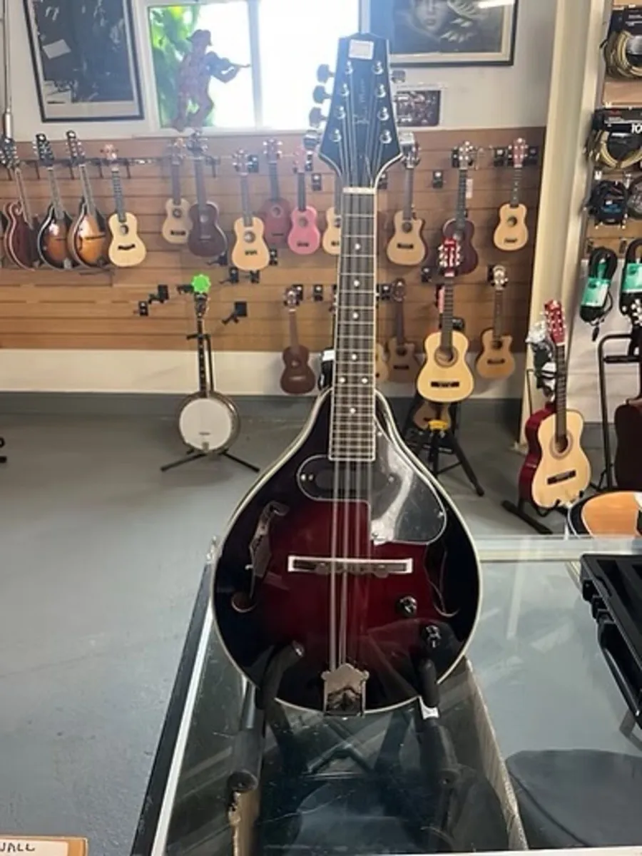 MANDOLINS FOR SALE @ THE MUSIC STORE CORK - Image 4