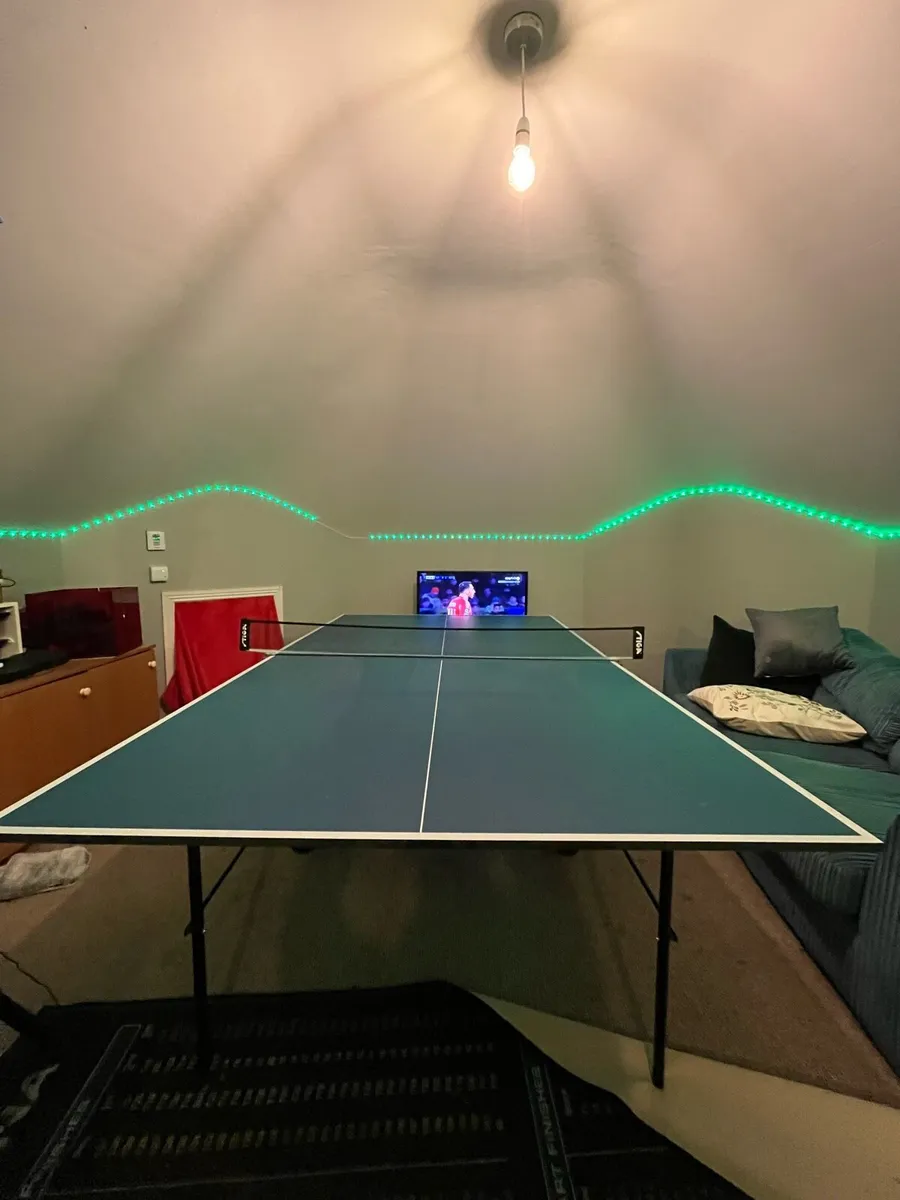 Ping pong table - Image 1