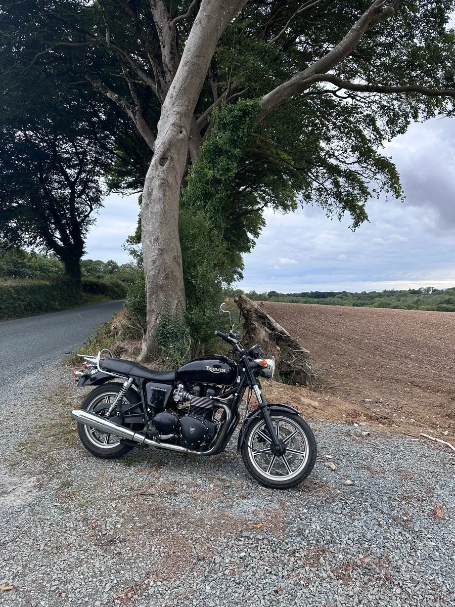 Triumph Bonneville T100 865 2010 - Image 2