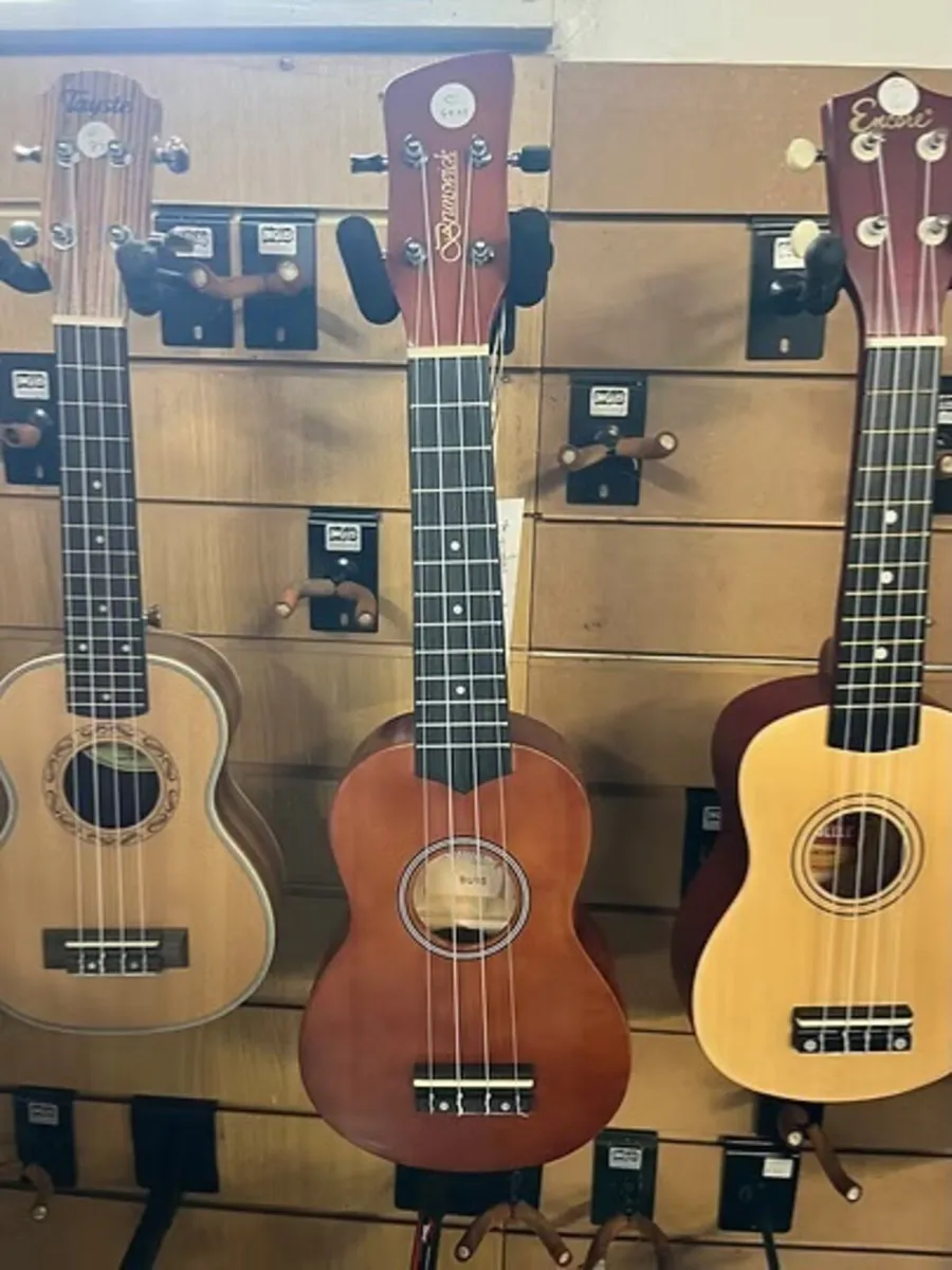 UKELELES FOR SALE @ THE MUSIC STORE CORK - Image 1