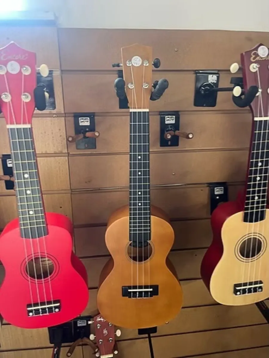 UKELELES FOR SALE @ THE MUSIC STORE CORK - Image 3
