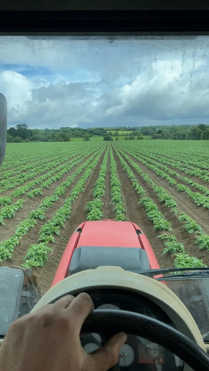 Tillage land wanted - Image 1