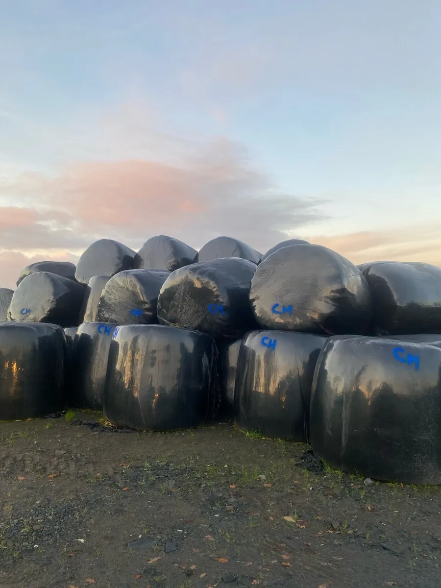 Round bales