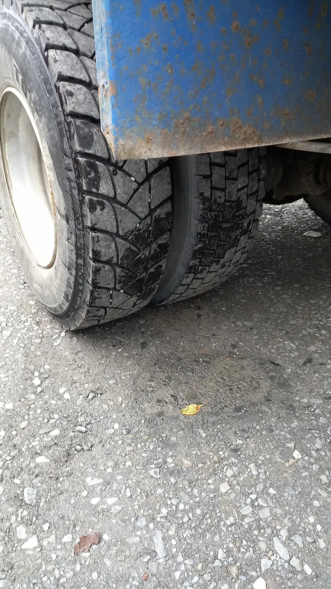 Daf lf tipper grab - Image 4