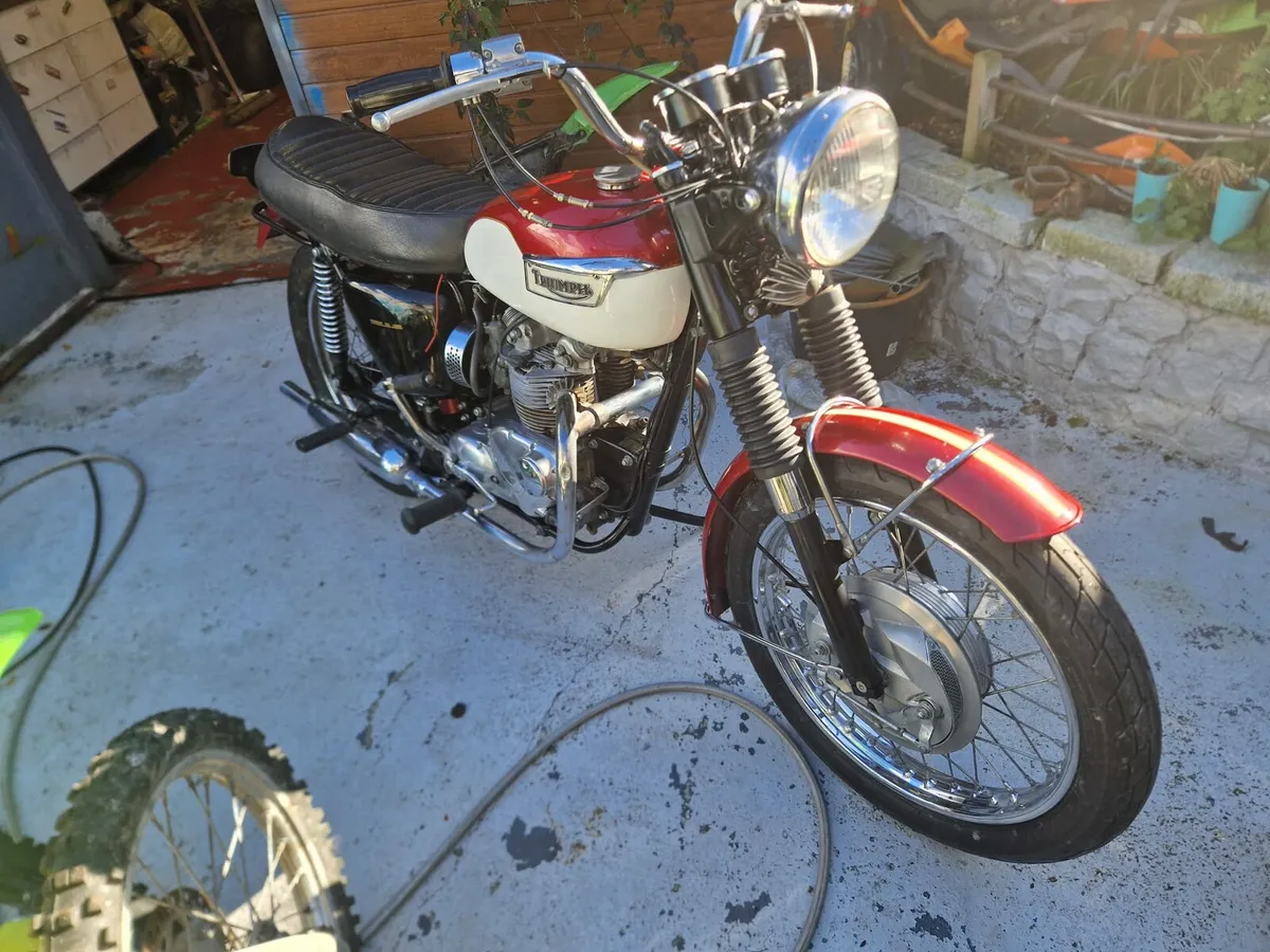 Triumph daytona - Image 1