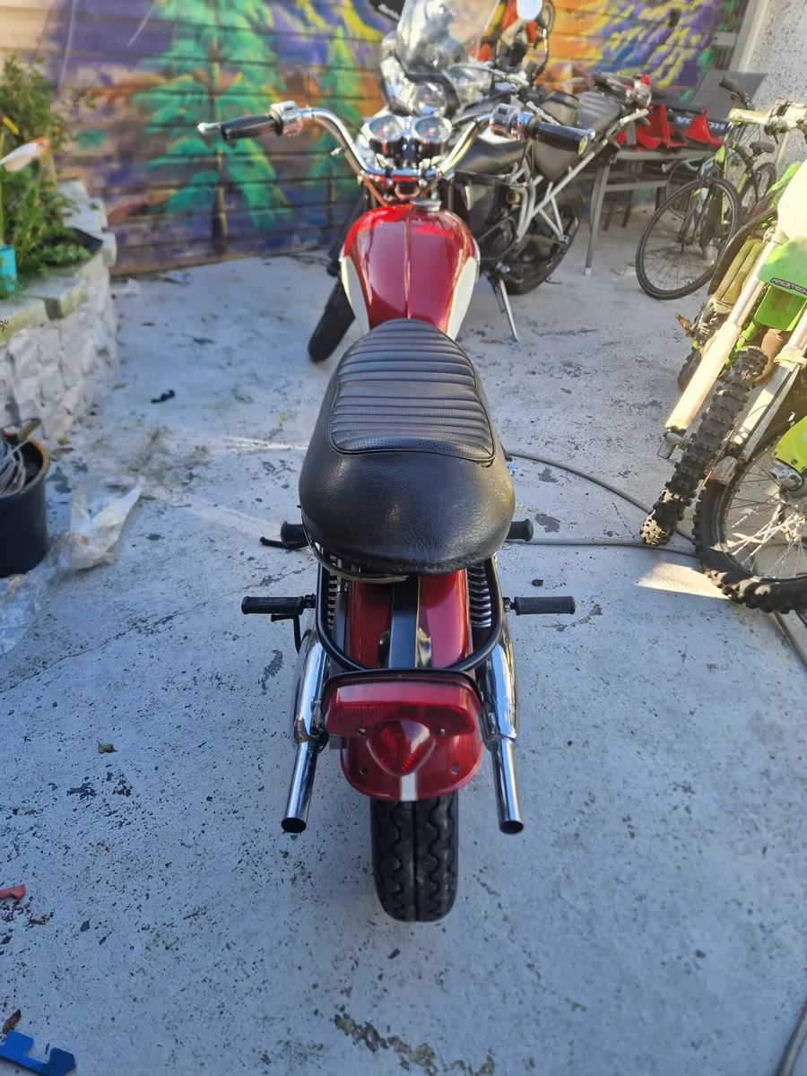 Triumph daytona - Image 3