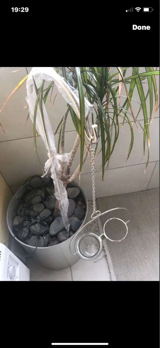 Garden Candle Set - Image 3