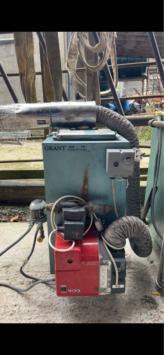 Grant oil boiler - Image 1