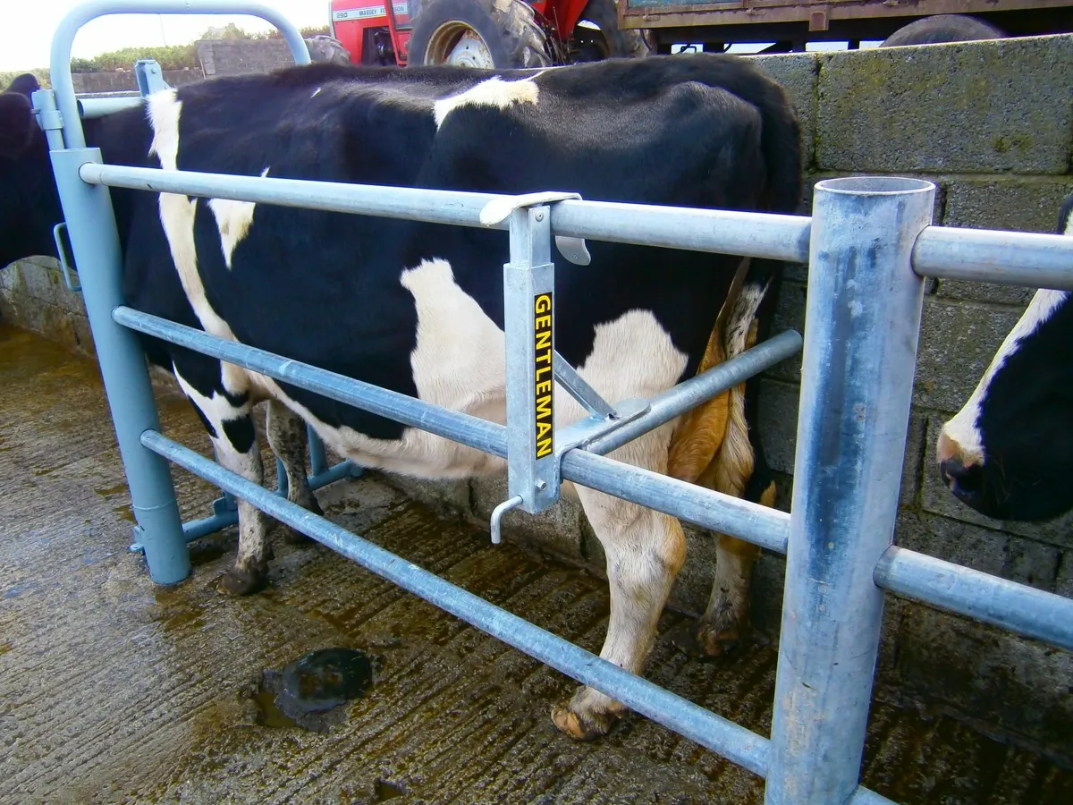 Anti Backing Crush Bar Christmas Present - Image 1