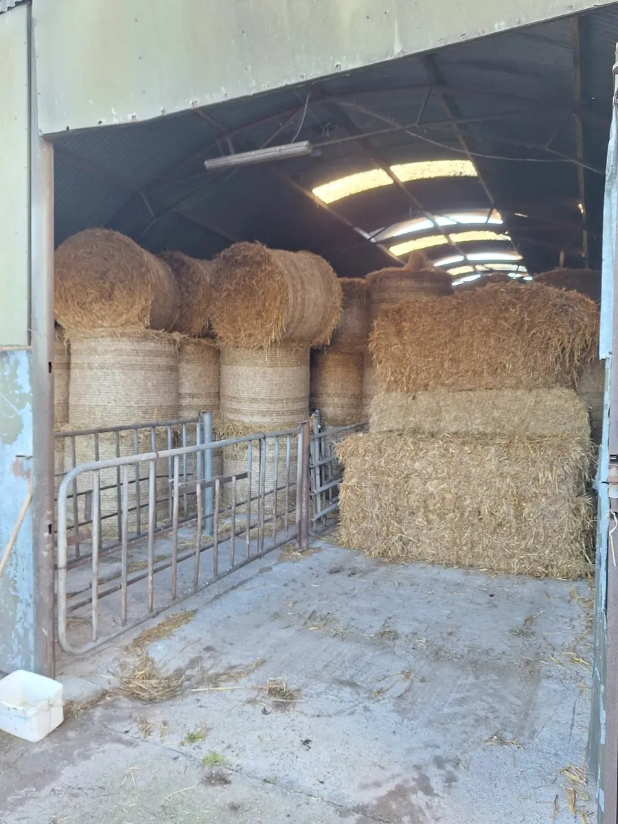 Straw - Image 1