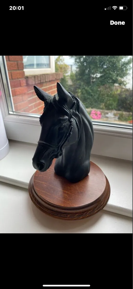 Vintage Black Resin Horse Head Display - Image 2