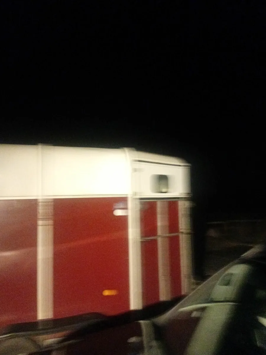 Horse box - Image 4