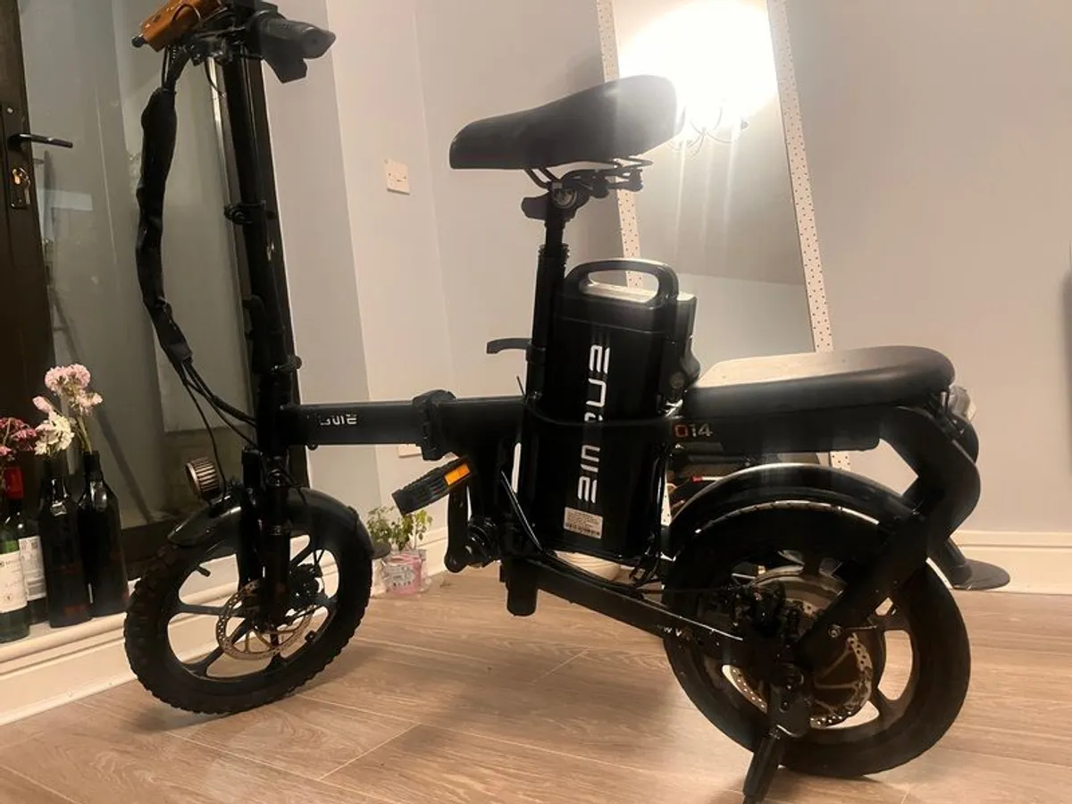 Electric Bike - Image 2