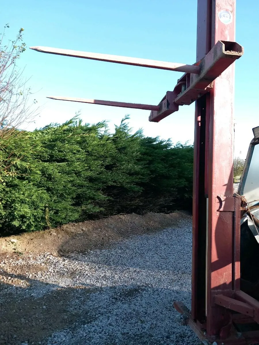 Bale Spike on mast - Image 2