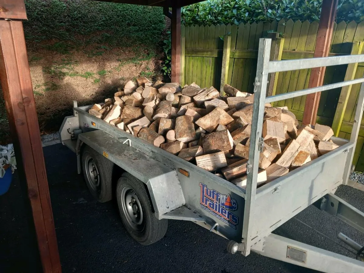 Ash firewood - Image 1