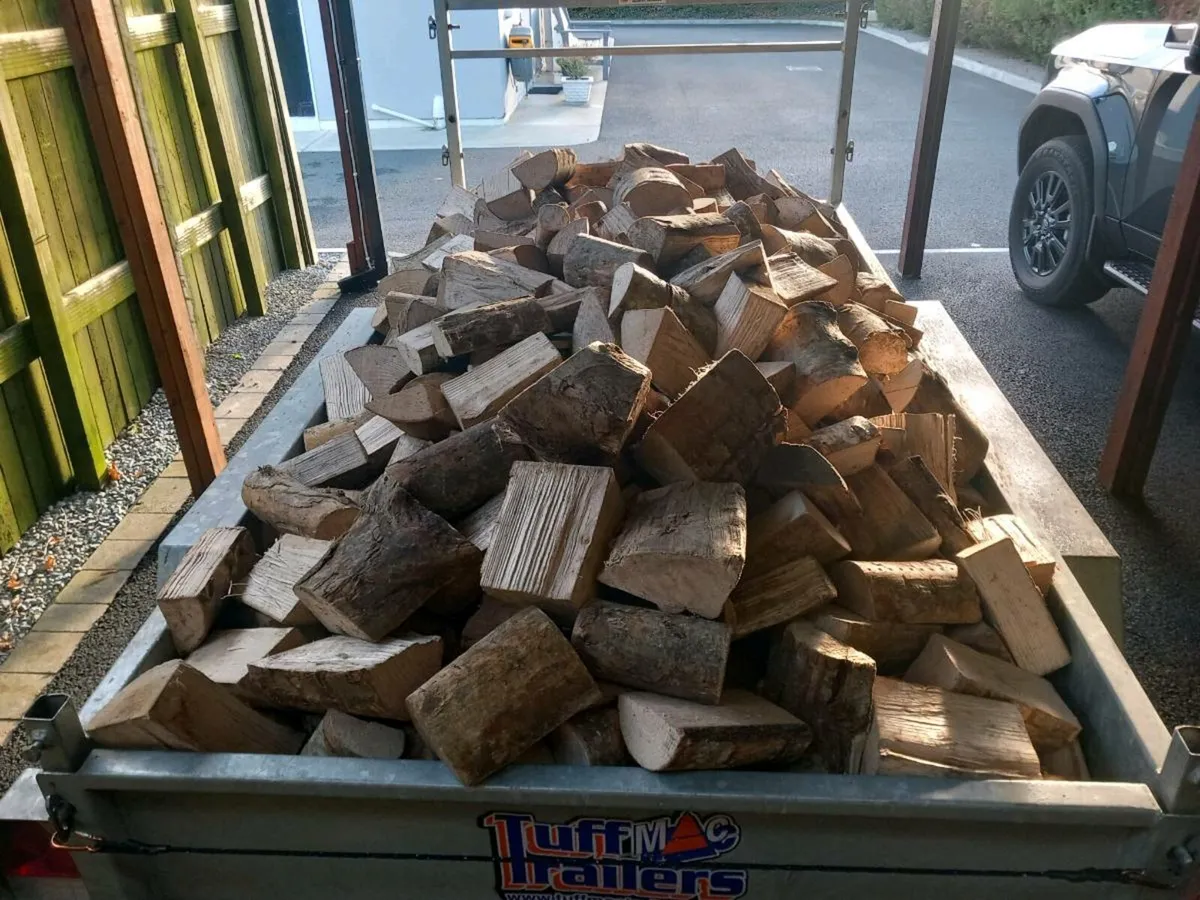 Ash firewood - Image 2