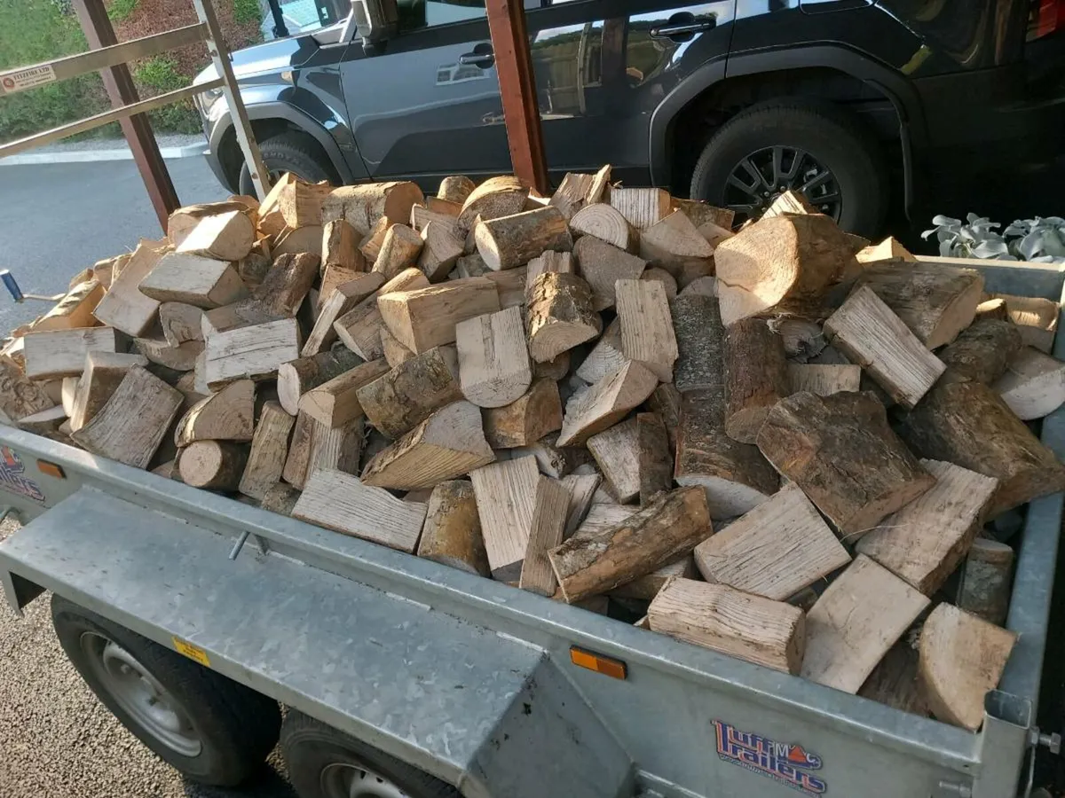 Ash firewood - Image 3