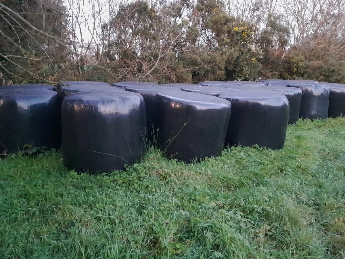 Silage Bales - Image 1